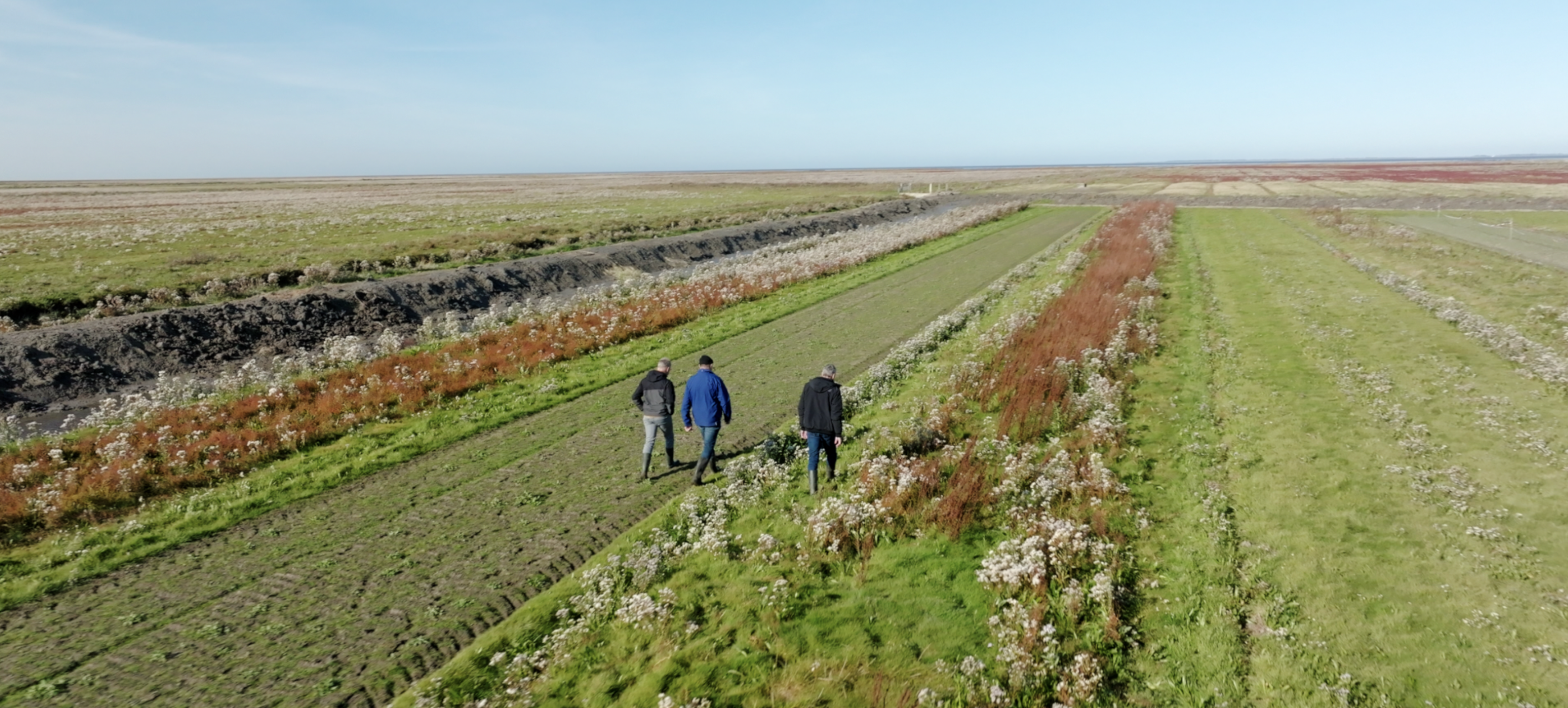 Grond voor de toekomst